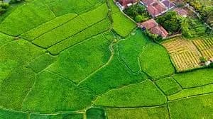 7 Essential Tips for Buying the Right Plot in Hisar
