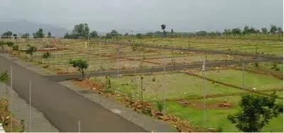 Plot for Sale in Sector 14 Hisar: Price Trends & Future Value Review